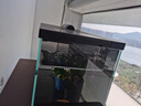 米家（MIJIA）小米米家智能生态鱼缸还原自然生态补仓一次三月无忧出差旅行必备 实拍图