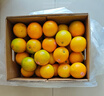 褚橙 云南冰糖橙  优级果 L 10斤装 单果约130g起 生鲜水果礼盒 实拍图