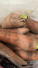 京喜加新鲜胡萝卜当季农家自种萝卜脆爽多汁水果蔬菜 新鲜胡萝卜 5斤 带箱 100g起/支 实拍图