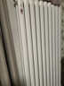 金旗舰暖气片家用钢制水暖壁挂式全屋暖气定制集中供暖自采暖立式散热器 防腐金刚60F-高1500mm 6分口 实拍图