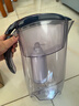 康佳（KONKA）净水壶 过滤净水器 家用滤水壶 厨房自来水过滤器  便携净水杯 KLSH-2501B-E （1壶4芯套装） 实拍图