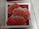 玉兰油（OLAY）大红瓶水乳液面霜礼盒抗皱紧致抗衰老化妆品护肤品套装生日礼物女 实拍图