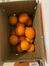 正宗赣南早脐橙整箱新鲜早橙子赣州产地直发超甜皮薄多汁水果礼盒 净重9斤果王橙（单个250g以上） 实拍图