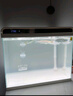 森森 超白玻璃智能桌面鱼缸一体缸自循环HE-480 实拍图