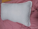 希尔顿酒店纯棉夹棉枕头枕芯保护套隔离枕套家用可水洗枕头套 1支 全棉隔脏面料-白色  48x74【一对装】 实拍图