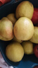 京鲜生 新疆库尔勒香梨 净重5斤 一级 单果100g-120g  生鲜水果 实拍图