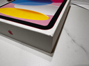Apple/苹果 iPad11英寸 A16芯片2025年款 平板电脑 (256GB WLAN版/学习办公娱乐)粉色 实拍图