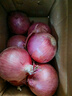 京鲜生 甘肃紫红皮洋葱净重5斤单果200g+ 现挖新鲜蔬菜 源头直发包邮 实拍图