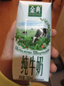 伊利金典纯牛奶整箱 200ml*24盒 3.6g乳蛋白 原生高钙 礼盒装 实拍图