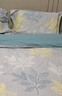 百丽丝水星家纺出品床上四件套纯棉100%全棉四件套床品被套床单套件1.5m床 实拍图