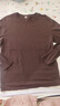 网易严选25新品新疆棉长袖T恤10A抗菌万能打底衫不易变形男女同款 25秋冬四季款长袖-老钱棕 L 实拍图