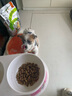 比瑞吉狗粮鸭肉梨升级瓜6冻干幼成老年小型犬小绿袋比熊去泪痕犬粮2kg 实拍图