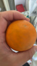 京鲜生 浙江涌泉蜜桔 净重4.5-5斤 单果65-75mm 桔香浓郁 源头直发包邮 实拍图