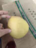 福建平和老树红柚 新鲜现摘 皮薄肉厚多汁 蜜柚柚子 1-1.5斤（2粒）性价比 实拍图