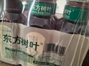 农夫山泉 东方树叶青柑普洱茶335ml*24瓶无糖茶饮料0糖0脂0卡小瓶塑膜装 实拍图