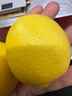 京鲜生 安岳黄柠檬16粒 单果95g-120g 生鲜水果 实拍图