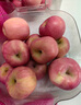 京鲜生 烟台红富士苹果 净重8斤  单果230g起 水果礼盒 实拍图