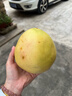 京鲜生 福建琯溪蜜柚3-4粒装 净重8.5斤 生鲜水果 源头直发包邮 实拍图