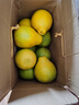 趣觅鲜正宗容县沙田柚产地直发广西特产纯甜无酸老树白肉柚子新鲜水果 20斤带箱9-11个礼盒装 实拍图