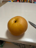 京鲜生山东烟台莱阳秋月梨净重8斤 单果300g+ 生鲜水果 源头直发包邮 实拍图