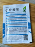 【随种随吃】调料菜种子组合春季四季易种耐热阳台盆栽通种蔬菜 小叶香菜种子1包约1000粒 一包约1000粒 实拍图