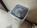 米家【家电国家补贴】小米空气净化器5S家用除甲醛除菌除过敏AC-M24-SC 实拍图