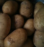 京喜加新鲜黄心土豆农家自种黄皮马铃薯黄心洋芋新鲜蔬菜 3斤 实拍图