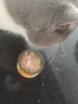 馋小汪猫罐头整箱猫咪零食罐成幼猫营养湿粮鸡肉丝高汤罐85克整箱猫零食 鲜享滋润【鸡肉+三文鱼】 24罐【囤货超值装】 实拍图