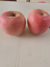 京鲜生 烟台红富士苹果 净重8斤  单果230g起 水果礼盒 实拍图