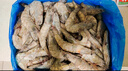 百年渔港海捕对虾超大盐冻只只分离白虾  30-40规格 净虾重4斤 60-80只 实拍图