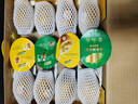 佳沛（zespri）新西兰 阳光金奇异果12粒礼盒特大果单果约122-146g 猕猴桃 水果 实拍图
