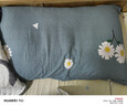 洁丽雅（Grace）纯棉枕套一对 加厚家用印花枕头套枕芯套 花漾-蓝48*74cm 实拍图