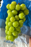 京鲜生 阳光玫瑰葡萄 青提6斤礼盒装 单果约10g 生鲜水果 新鲜水果 实拍图