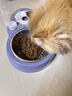 甜浪海猫碗双碗自动喂食器不锈钢狗盆幼猫吃饭喝水防打翻饮水机宠物食盆 实拍图
