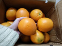 土八鲜江西橙子赣南脐橙新鲜水果赣州脐橙手剥甜橙礼盒 奋进橙9-10斤【果径75-85mm】 实拍图