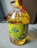 金龙鱼 食用油 非转基因 压榨 一级 纯正玉米油4L（新老包装随机发货） 实拍图