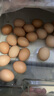 九華粮品散养土鸡蛋40枚 净重3斤 农家柴鸡蛋 笨鸡蛋 月子蛋 实拍图