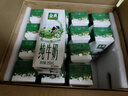 伊利【新鲜日期】金典纯牛奶整箱 250ml*16盒 3.6g乳蛋白 礼盒装 实拍图