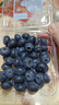云南8分甜高山蓝莓125g(18mm) 实拍图