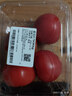 番茄约500g 实拍图