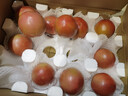 京鲜生 山东海阳普罗旺斯净重4.5斤单果150g起新鲜沙瓤西红柿源头直发 实拍图