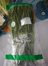 绿色韭菜250g 实拍图