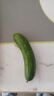 京喜加新鲜无刺水果小黄瓜小青瓜脆甜荷兰脆嫩生吃黄瓜蔬菜 水果黄瓜 2斤 带箱活动 实拍图
