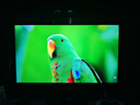 泰坦军团27英寸QD-MiniLED 4K 160Hz双模320Hz DyDs技术 Type-C 65W 内置音箱电竞显示器P275MV PLUS增强版 实拍图
