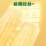 十月稻田 白糯玉米 4.16斤(260g*8根) 东北甜黏玉米棒 早餐苞米 低脂零食 实拍图