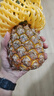 正宗海南金钻凤梨新鲜水果当季树上熟芒果凤梨【催熟食用】 1粒装单果500g-650g【7成熟，催熟再吃】 实拍图