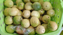 黄金百香果钦蜜9号新鲜当季现摘精选好果水果百香果鲜果酸甜可口 钦蜜9号黄金百香果40~60g中果1斤 实拍图