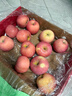 京鲜生 烟台红富士苹果 净重5.2斤/12粒  单果190-240g  水果礼盒 实拍图