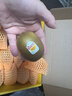 佳沛（zespri）新西兰  阳光金奇异果16粒礼盒经典果单果约 77-103g 水果 猕猴桃 实拍图