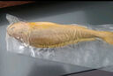 1号会员店 冷冻深海野化三去黄花鱼 宁德大黄鱼800g/2条装 盒装 生鲜鱼类 实拍图